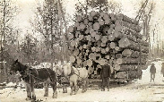 Cal John with a load of logs. Card sent from Wabeno on Feb 21 1909 to William Young of Gillett.  Reads:  How would you like to load a load like this before Breakfast?